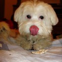 ucho ! ♥