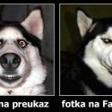 Ukážka z nezaradených obrázkov