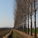 Ukážka z obrázkov v albume Foto II.