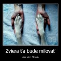 Ukážka z nezaradených obrázkov