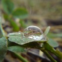 the  World  in a raindrop.....