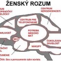 zensky rozum