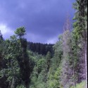 Obrázok
