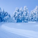 Suomi *IN LOVE*