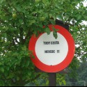 Kde je tá správna cesta...?