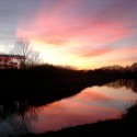 Bloody river