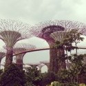 Gardens by the Bay - Skyway, Singapore