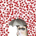 grumpy cat is the best :D antivalentine :D