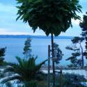 Croatia
