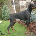 Poldy :)