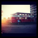 Rimini - bus stop 14 Coconuts bus 