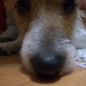 =)