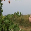 Predsa len sú momentky najkrajšie fotky :) 