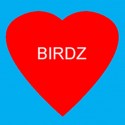 Pekneho valentína všetkým birdzákom.