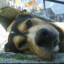 my life - you :)