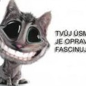 HIHI XD