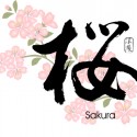 sakura