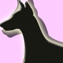 Dobermann