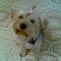 nas 2. hafan