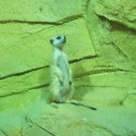 najúžasnejšie zvieratko v zoo :)