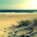 Montauk Beach, New York :)