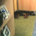 ňuňu.. ♥ sladké sny :D