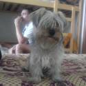 Moj havino...Lucky:)
