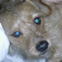 Eddie:)