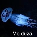 Ukážka z nezaradených obrázkov