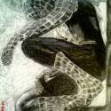 spiderman 3 som robil plagat k filmu
