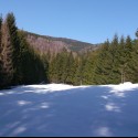 Obrázok