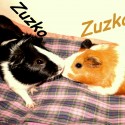 Ukážka z obrázkov v albume moji milačkovci :)