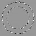 These two circles are perfectly round...
naozaj