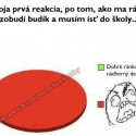 čista pravda :D