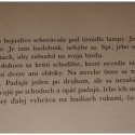 Obrázok