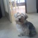 Moj havino...Lucky:)
