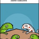 chameleon