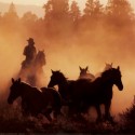 ..western..