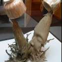 coffee kiss :)