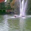 Rehooot
