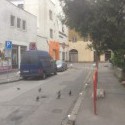 A tak som si nasiel nových kamošov.