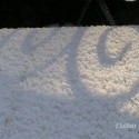 frozen shadow