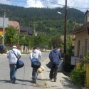 Bero,David,Petto