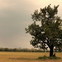 Obrázok