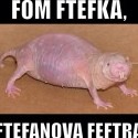 Ukážka z nezaradených obrázkov
