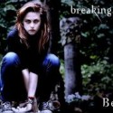 Ukážka z obrázkov v albume twilight