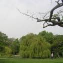 a ďalší park