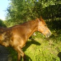 laska mojaa.) zuzkoo