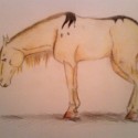 my horse fursona (fursona = charakter, ktorý zobrazuje autora, čiže mňa)