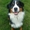 Max :)